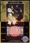Play <b>Budokan - The Martial Spirit</b> Online
